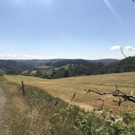 Gluehalm Willingen Villa Willingen  Dış mekan fotoğraf