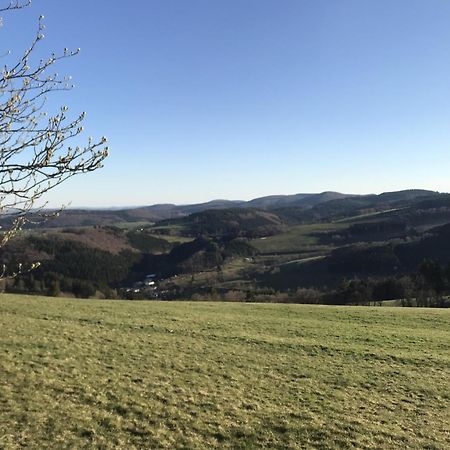 Gluehalm Willingen Villa Willingen  Dış mekan fotoğraf