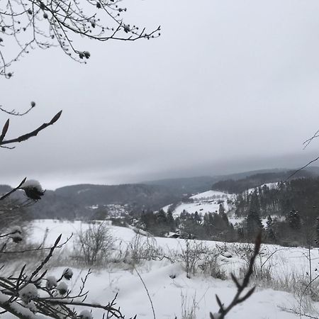 Gluehalm Willingen Villa Willingen  Dış mekan fotoğraf