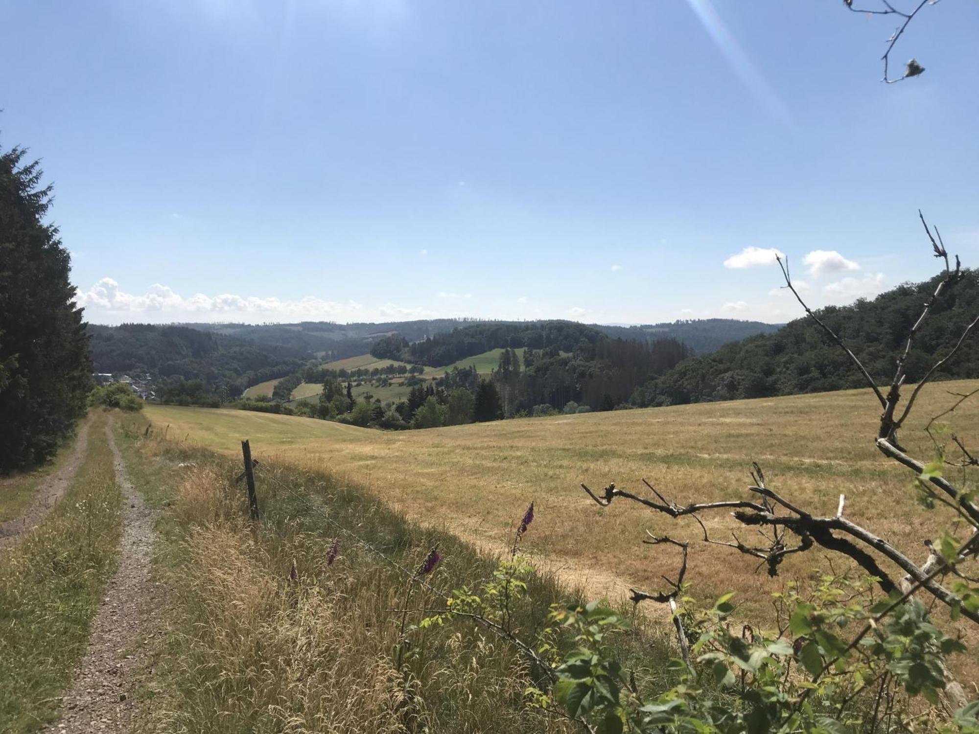 Gluehalm Willingen Villa Willingen  Dış mekan fotoğraf