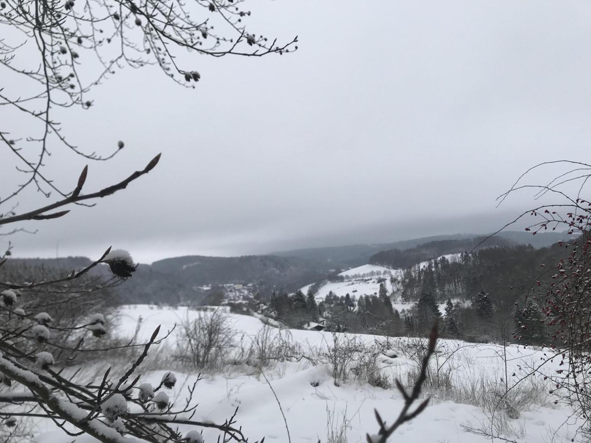 Gluehalm Willingen Villa Willingen  Dış mekan fotoğraf