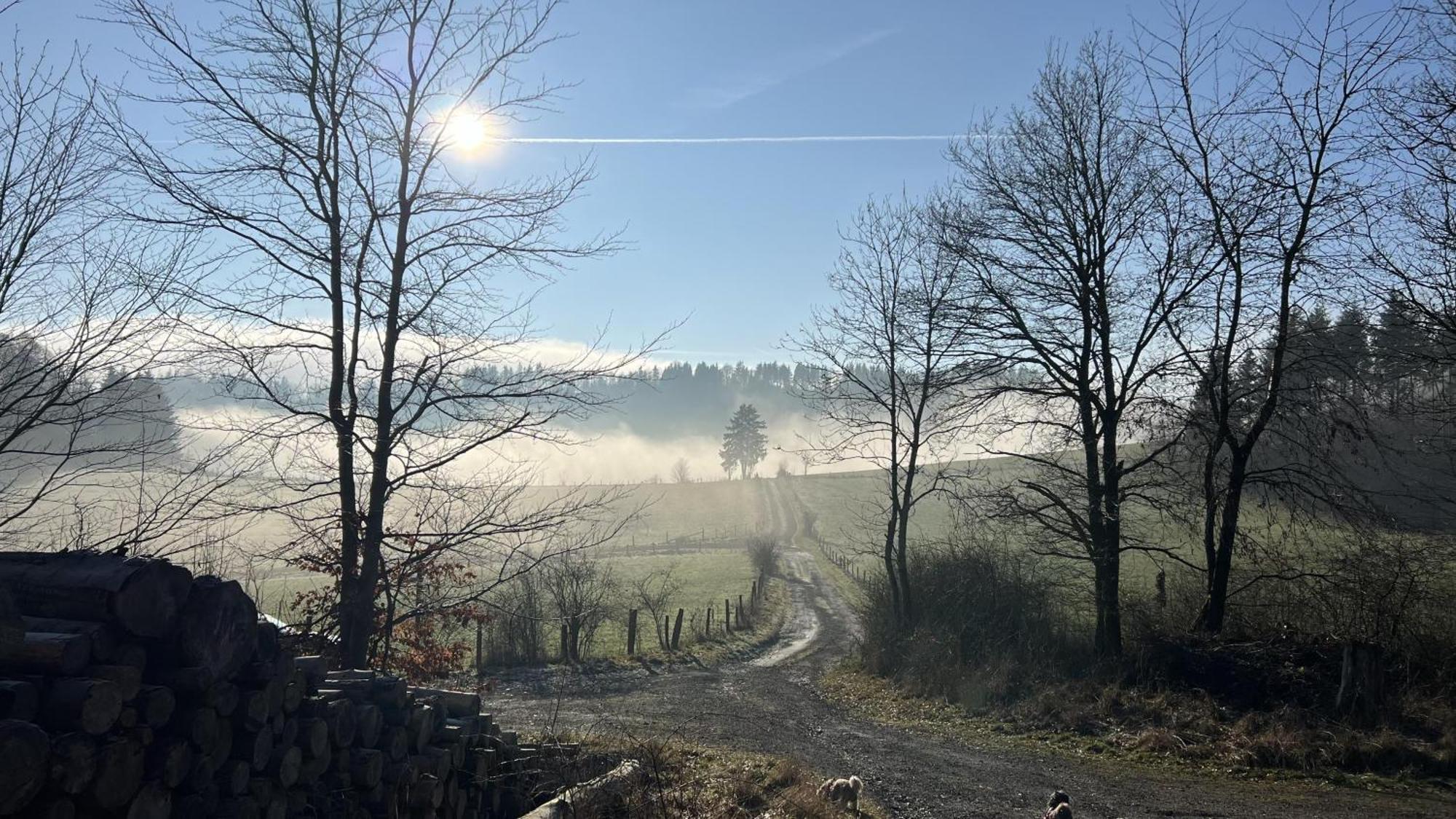 Gluehalm Willingen Villa Willingen  Dış mekan fotoğraf